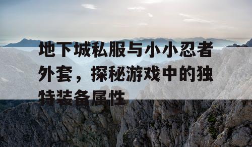 地下城私服与小小忍者外套，探秘游戏中的独特装备属性