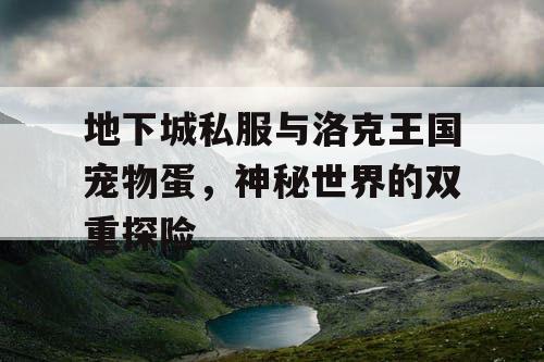 地下城私服与洛克王国宠物蛋，神秘世界的双重探险