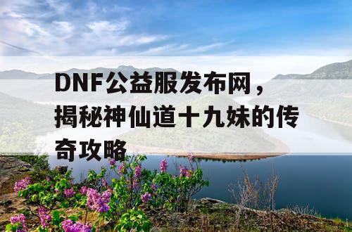 DNF公益服发布网，揭秘神仙道十九妹的传奇攻略