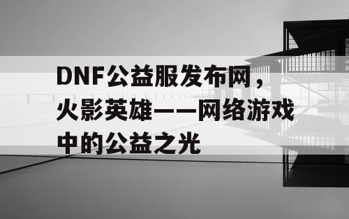 DNF公益服发布网，火影英雄——网络游戏中的公益之光