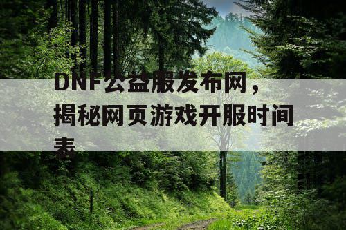 DNF公益服发布网，揭秘网页游戏开服时间表