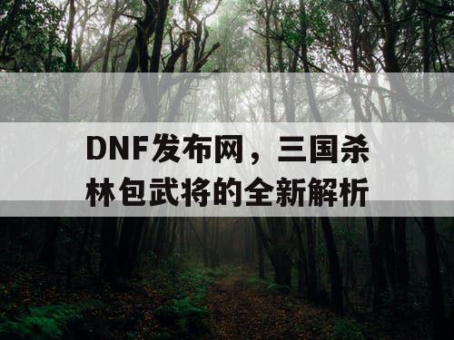 DNF发布网，三国杀林包武将的全新解析