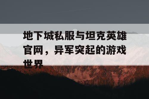 地下城私服与坦克英雄官网，异军突起的游戏世界