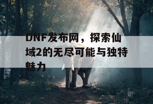 DNF发布网，探索仙域2的无尽可能与独特魅力